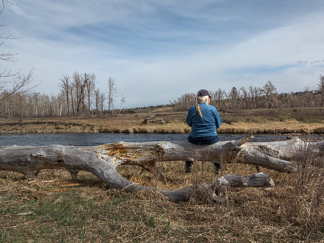 Poplar Island Fish Creek Park