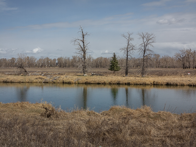 Poplar Island Fish Creek