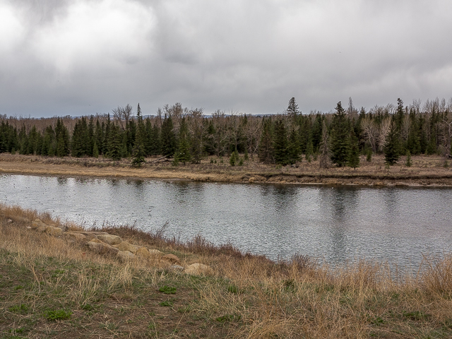 Poplar Island Bow River