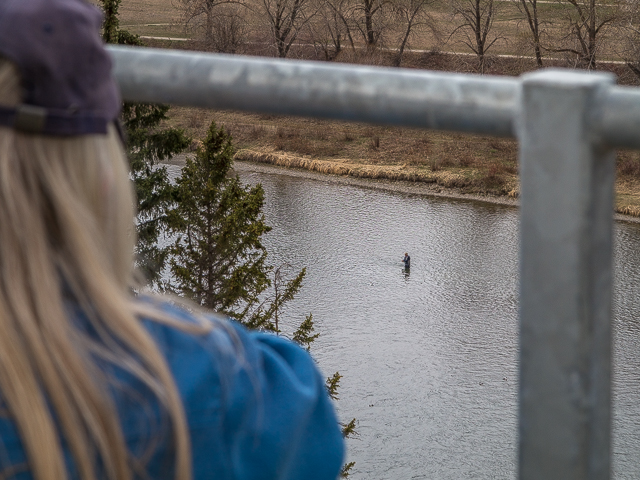 Bow River Angler