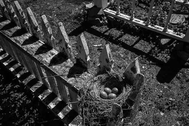 Ainsworth Cemetery Bird's Nest