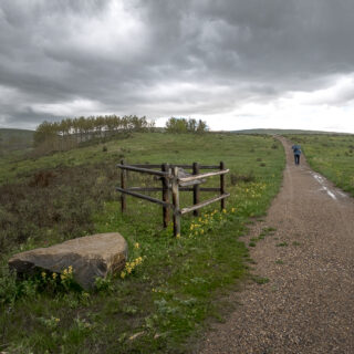 Bow River Loop Trail