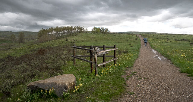 Bow River Loop Trail