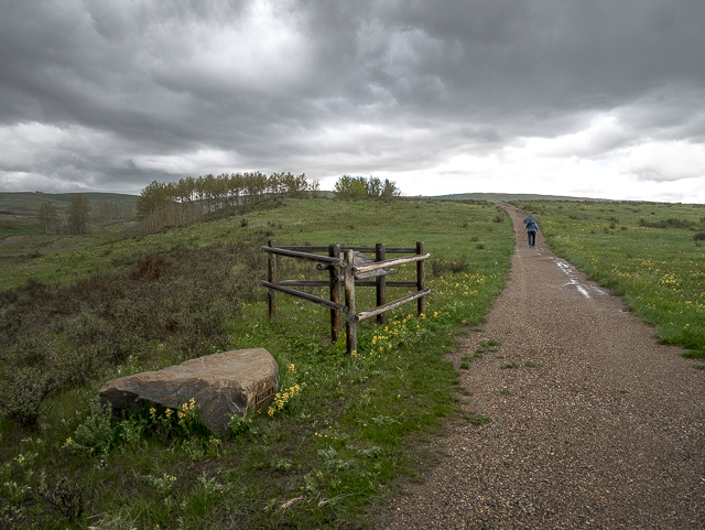 Bow River Loop Trail