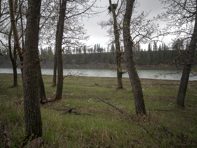 Bow River Glenbow Ranch