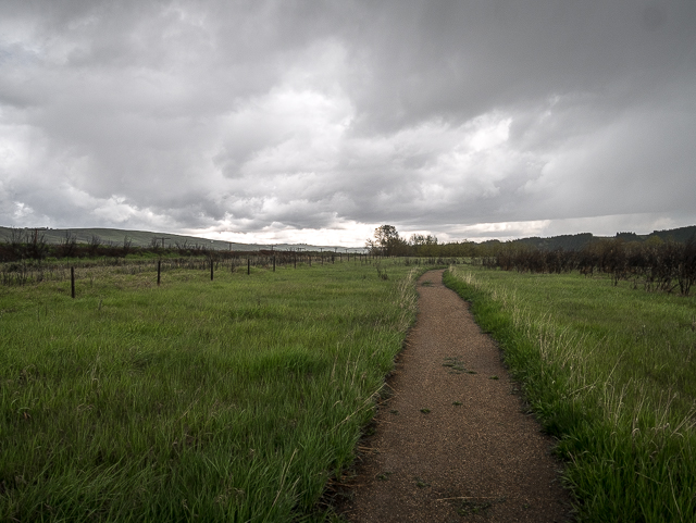 Bow River Loop Glenbow