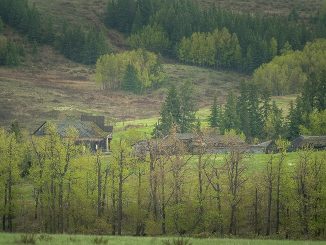 Bow River Ranch Film Set