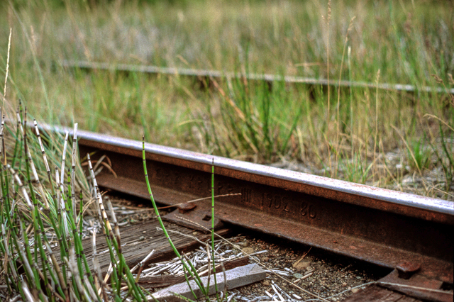 Rosebery BC Railway