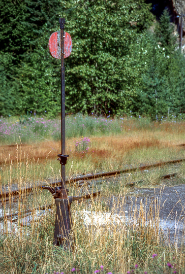 Train Yard Rosebery BC