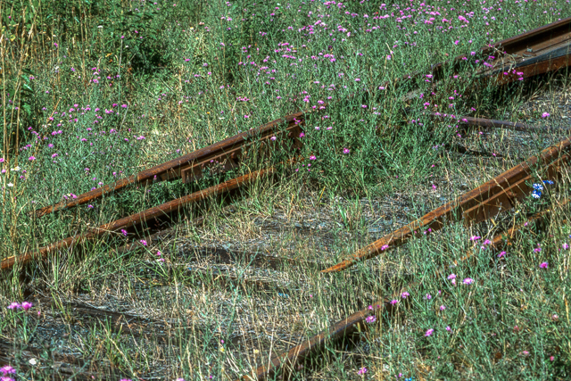 Rosebery Barge Slip