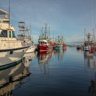 Fisherman's Wharf Comox BC