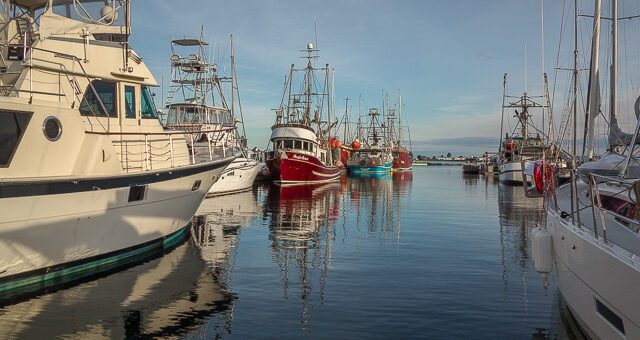 Fisherman's Wharf Comox BC