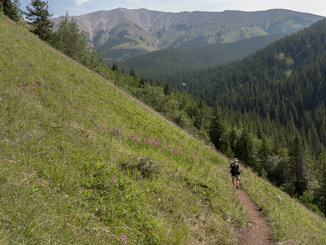 Hiking Picklejar Lakes