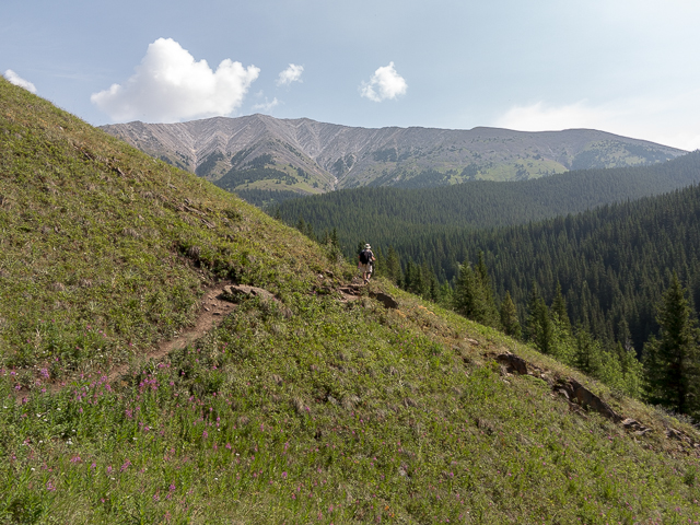 Picklejar Lakes Trail