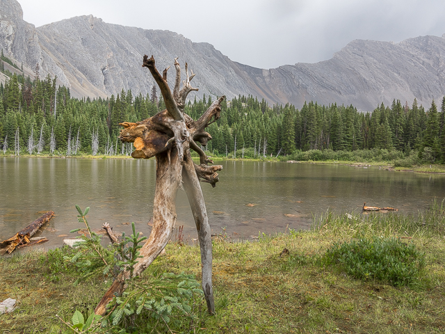 Picklejar Lakes Scenery