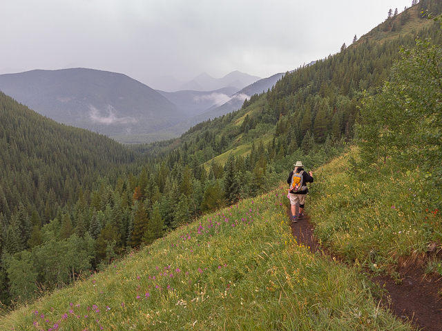 Views Picklejar Lakes Trail