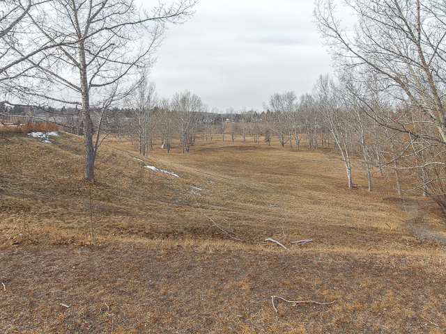 Calgary Highland Golf