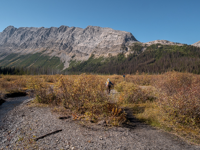 Burstall Pass Gravel Flats