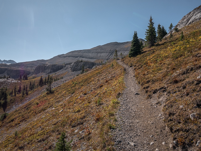 Hiking Burstall Pass