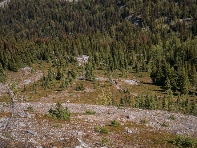 Burstall Pass Hikers