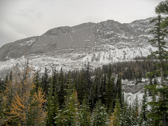 Whistling Ridge Slabs