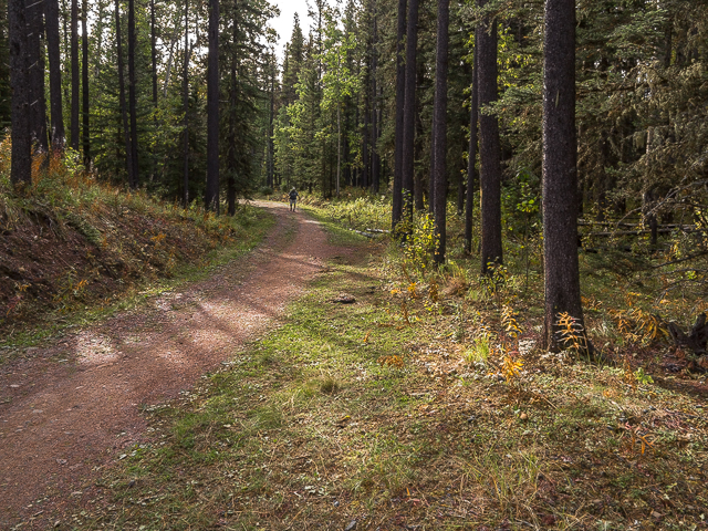 Moose Connector Trail