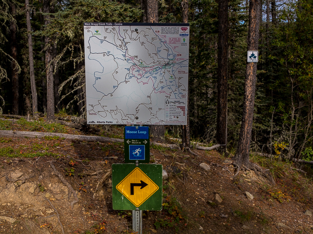 Moose Loop Kananaskis