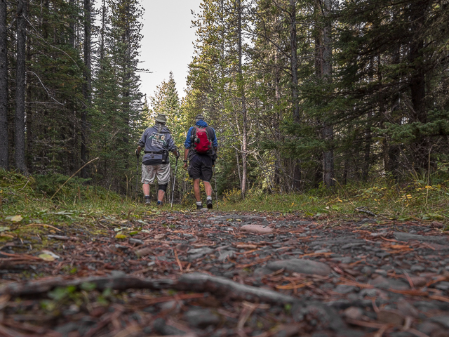 Moose Loop Hike