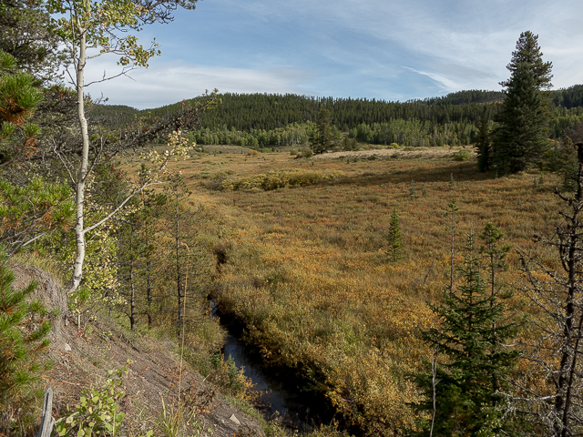 Moose Loop Hiking Trail