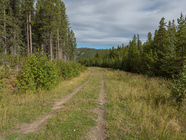 Hiking Moose Loop