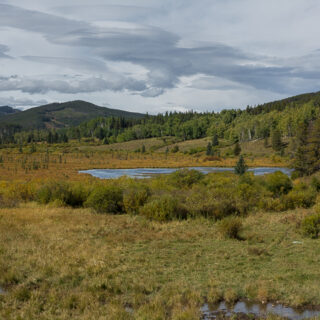 Moose Ponds Moose Loop