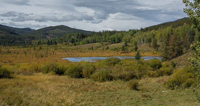 Moose Ponds Moose Loop