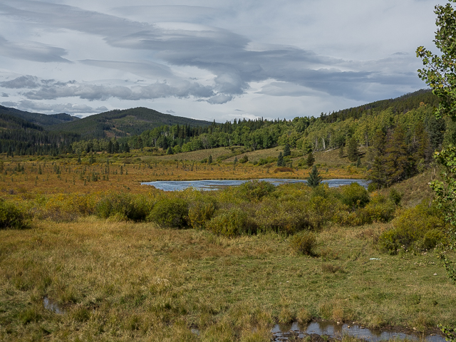 Moose Ponds Moose Loop