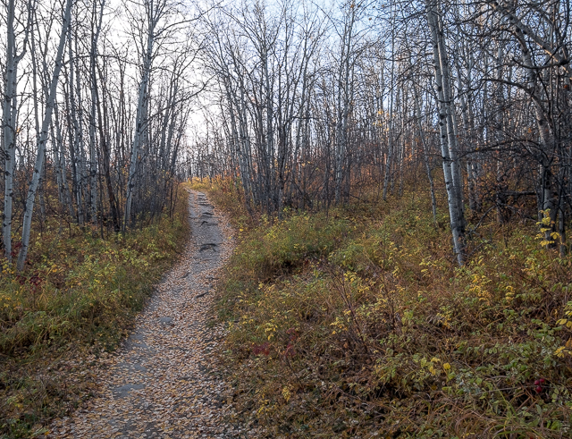 Paskapoo Slopes Trails