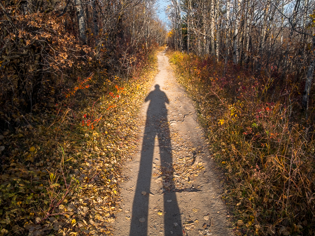 Paskapoo Slopes Hiking Trail