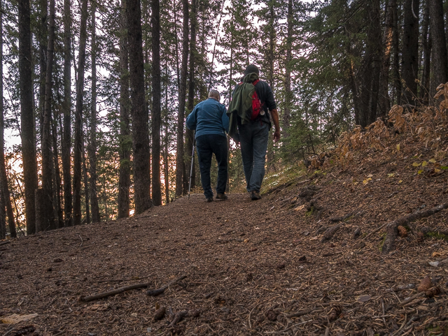 Trails Woods Douglas Fir Sanctuary