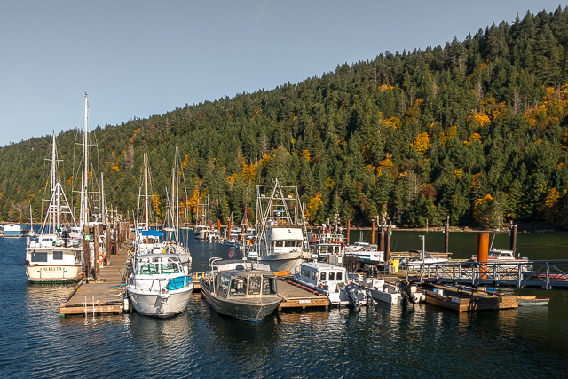 Ford Cove Marina