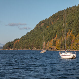 Ford Cove Sailboats