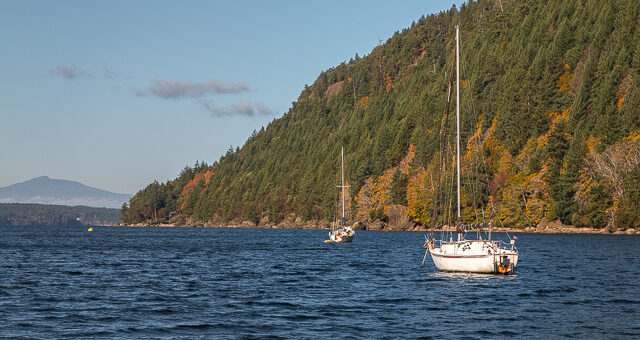 Ford Cove Sailboats