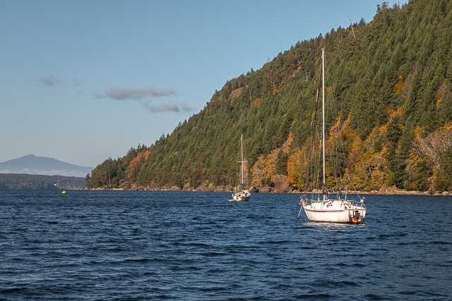 Ford Cove Sailboats