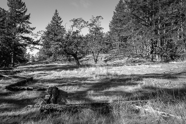 Old Split Rail Fence