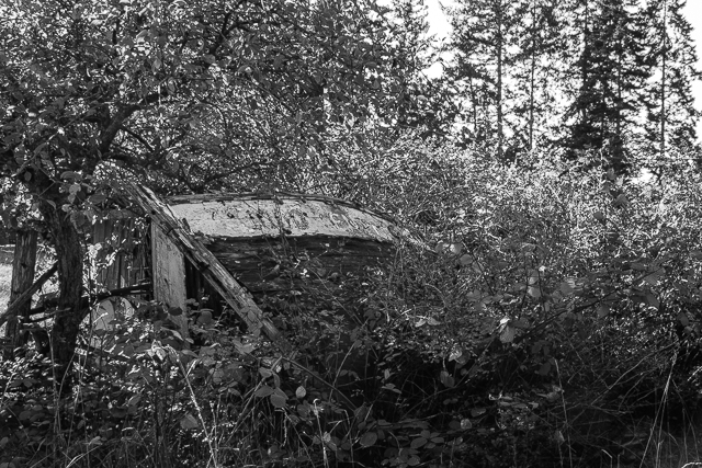 Old Boat Denman Island