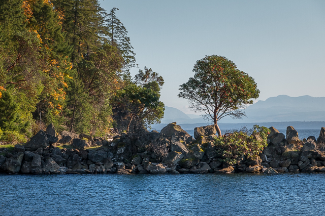 Hornby Island Shingle Spit