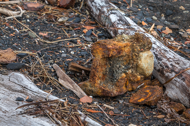 Union Bay BC Remains