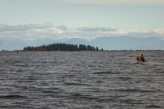 Sandy Island Union Bay