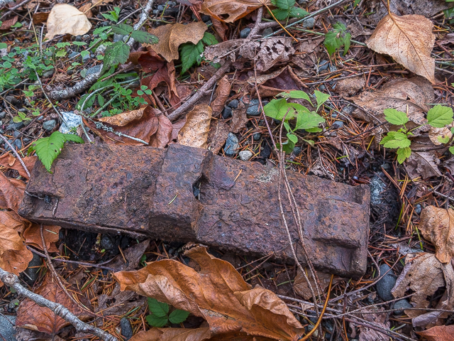 Union Bay Railway Remains