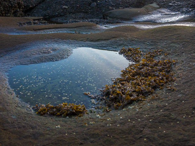 Denman Island Beach