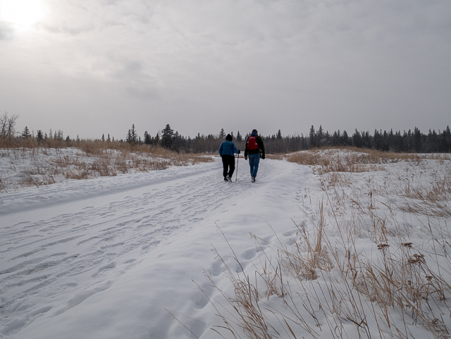 Fish Creek Park Pathways