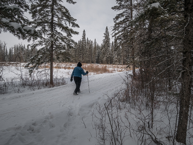 Hiking Fish Creek Park