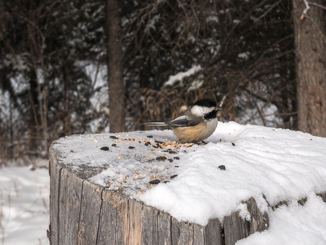 Fish Creek Provincial Park